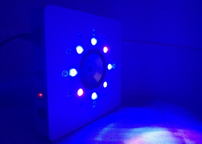 8leds 3w ανά συστάδα λειτουργούν